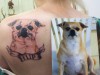 [Flip the Chihuahua]