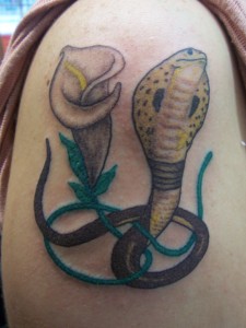 [Snake & Flower]