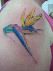 [Bird of Paradise]