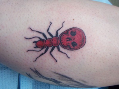[Skull Ant]