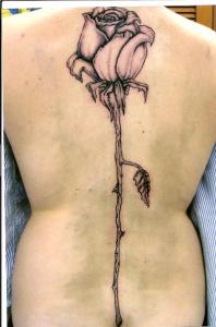 [Looong Stem Rose]