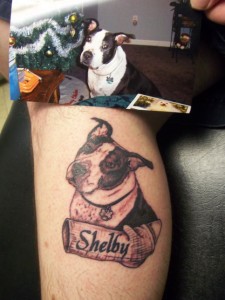 [Dog Portrait w/Bite-Sleeve Banner]